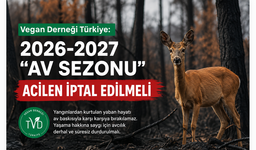 Vegan Derneği Türkiye: Yangından Kurtulan Yaban Hayatına Bir de Av Baskısı Getirilmesin