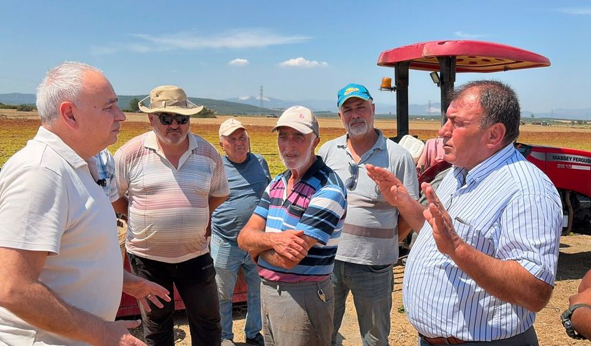 Manisa’da üzüm hasadı başladı: Bereket var, fiyat belirsizliği sürüyor