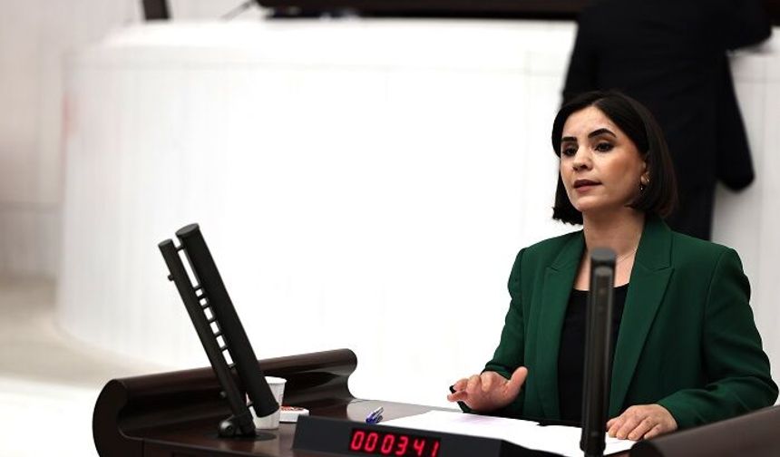 Nevroz Uysal Aslan: "Çocuğu Daha Ağır Cezalandırmak Değil, Devletin Koruma Sorumluluğunu Güçlendirmek Gerekir"