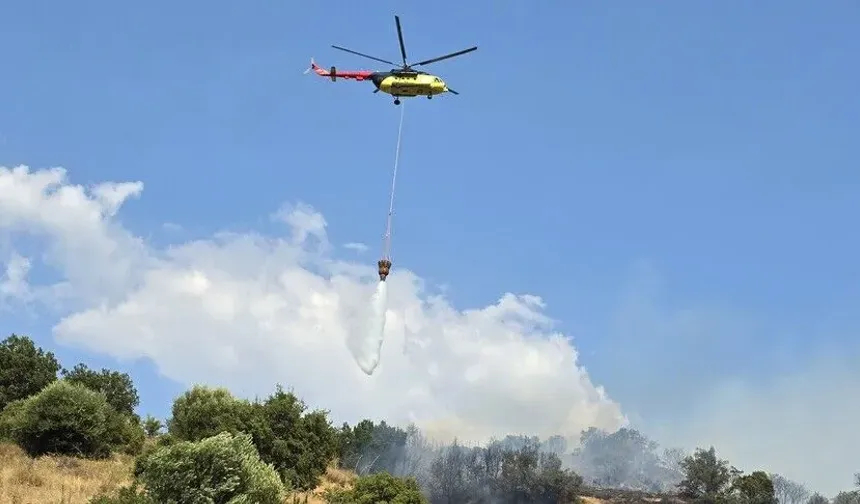 Orman Yangınları Soruşturmalarında 12 Şüpheli Tutuklandı