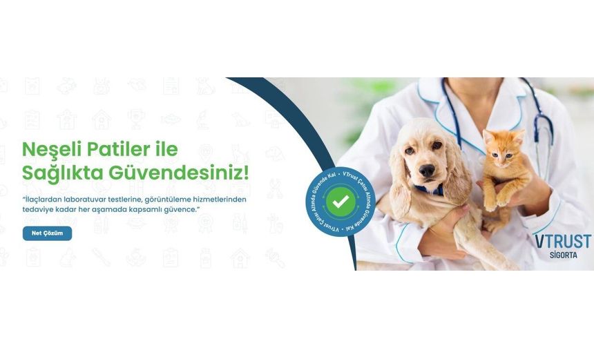 Antalya'da En İyi Evcil Hayvan Sigortası Seçenekleri Ve Değerlendirme Ölçütleri