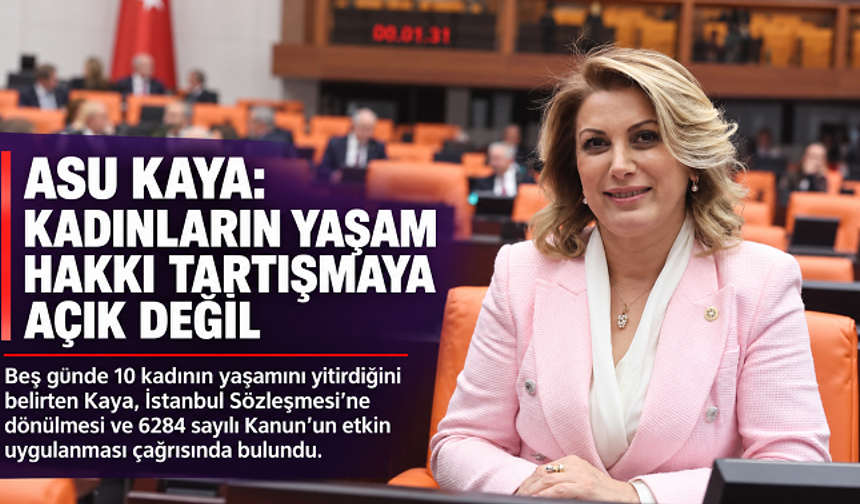 Asu Kaya: Kadınların yaşam hakkı tartışmaya açık değil