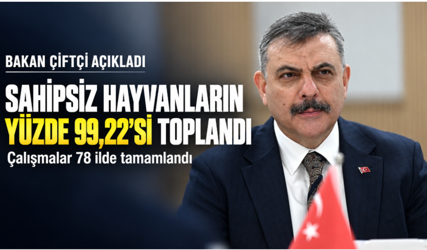 Çiftçi’den sahipsiz hayvan açıklaması: “Yüzde 99,22’si toplandı”