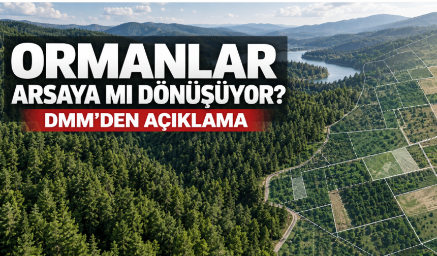 “Ormanlar Arsaya Dönüştürülüyor” İddiasına DMM’den Açıklama