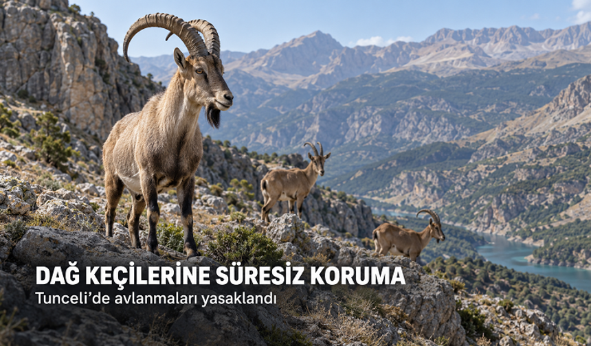 Tunceli’de Dağ Keçilerinin Avlanması Süresiz Yasaklandı