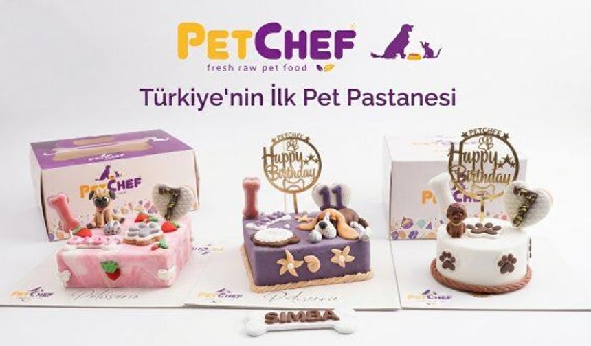 Türkiye'nin İlk Pet Pastanesi PetChef.com.tr