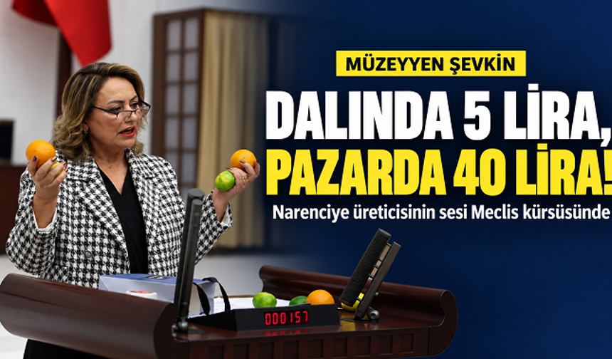 Şevkin narenciyeleri Meclis kürsüsüne boşalttı: “Dalında 5 lira, pazarda 40 lira! Bu nasıl düzen?”