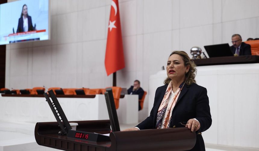 “Kızılay, depremde çadır satan değil, vatandaşın yardımına koşan kurum olmalıdır”
