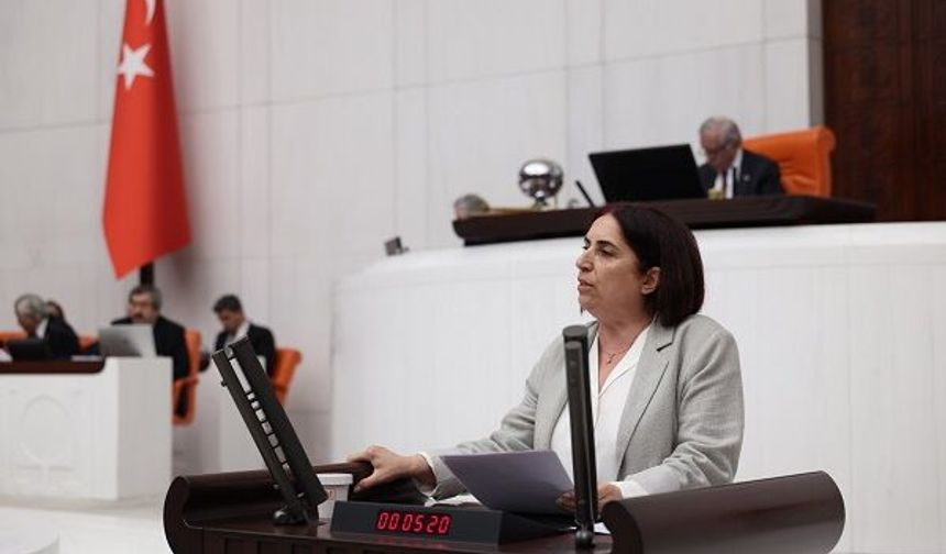 Sevilay Çelenk, Cansu Badur’un Türkiye’ye dönüşü için acil adım istedi