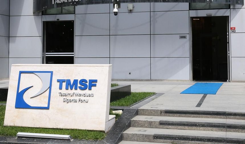 Tera Yatırım Teknoloji Holding’e TMSF Kayyım Atandı: Yeni Yönetim Açıklandı