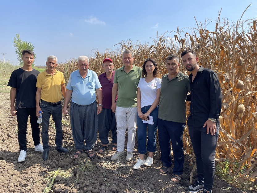 mısır taban fiyatı tepki (1)