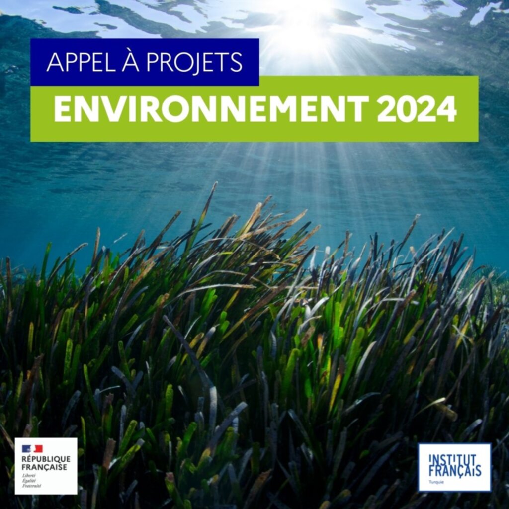 AAP environnement 2024 (4)