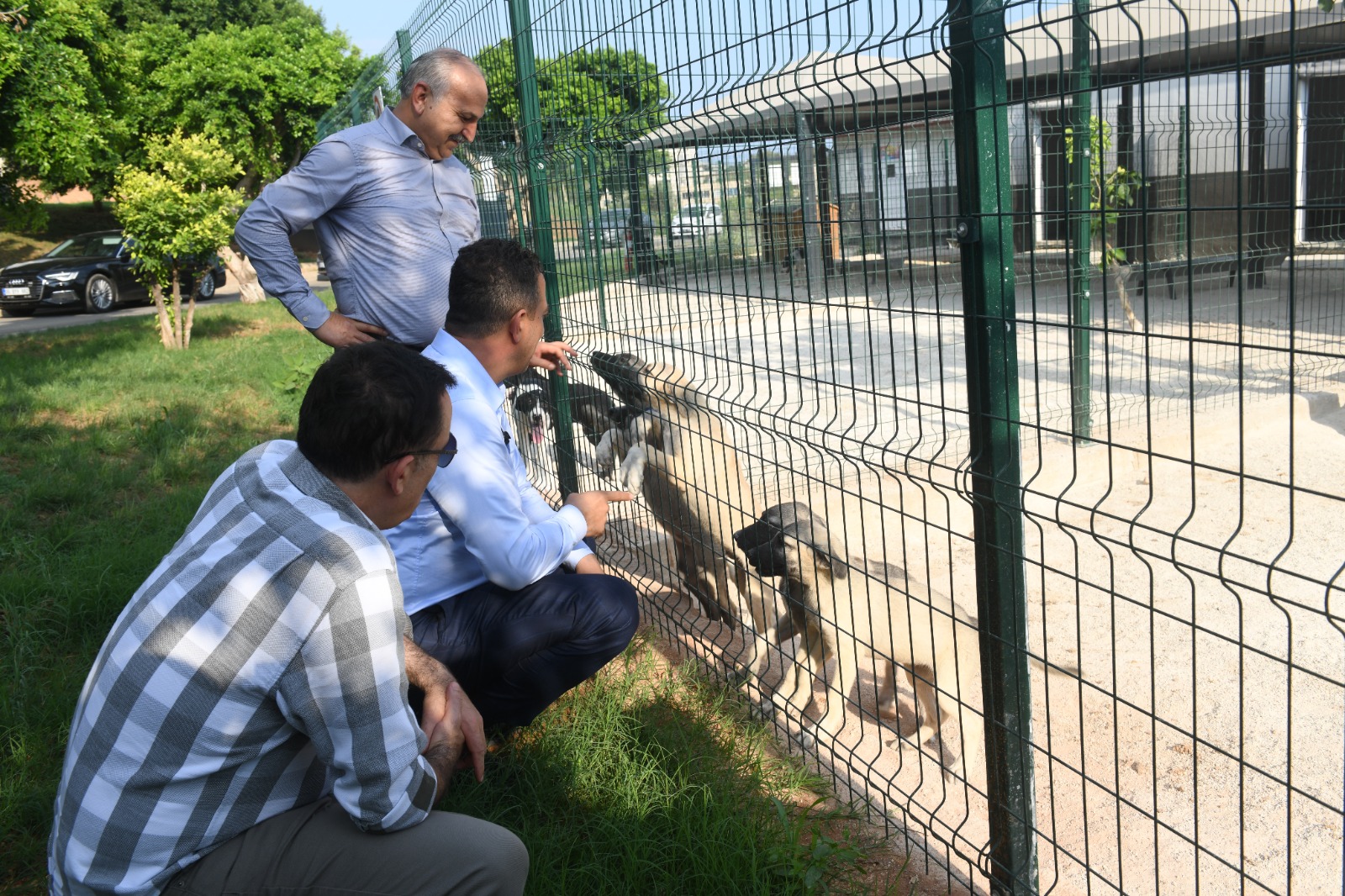 Chp Mersin Milletvekilleri Yenişehir Belediyesinin Hayvan Bakımevini Gezdi (4)