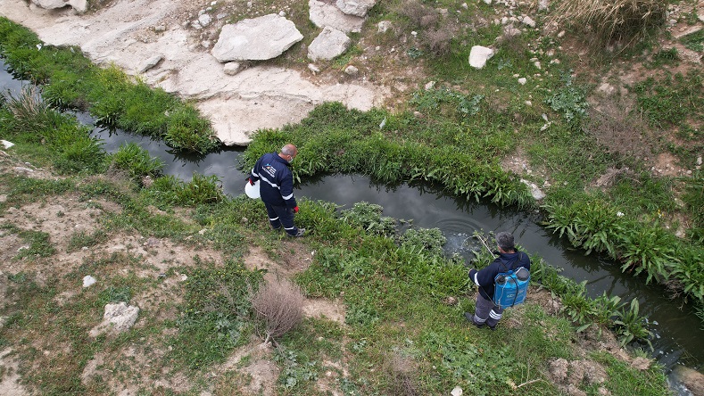 Haşereyle Mücadele (2)
