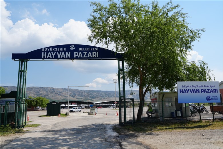 Hayvan Pazari Kurban Bayrami’na Hazir (1)