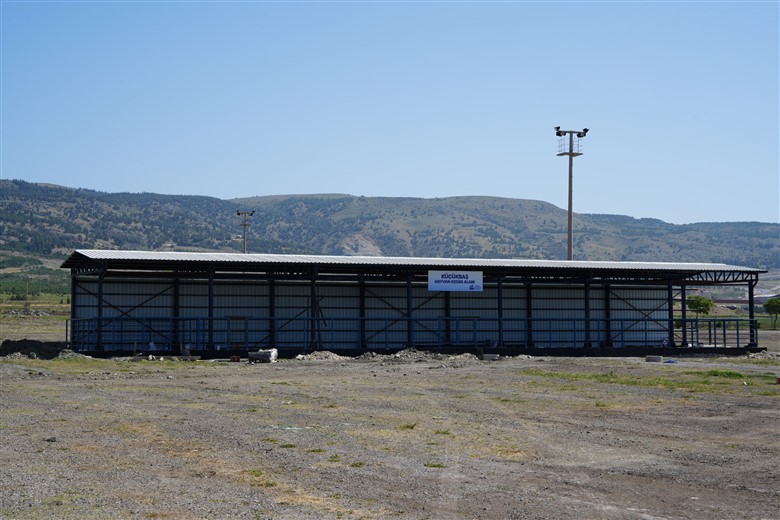 Hayvan Pazari Kurban Bayrami’na Hazir (14)