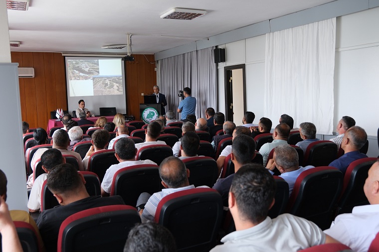 Sokak Canlılarının Rehabilitesi (5)