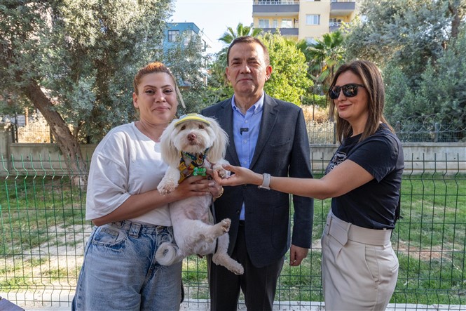 Yenişehir Belediyesinden Patili Dostlara Özel Park1