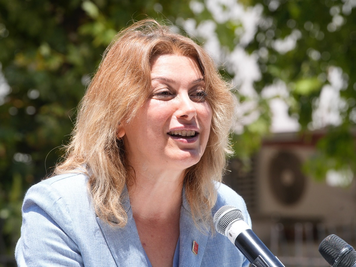 Chp Kadin Kollari Genel Başkani Asu Kaya