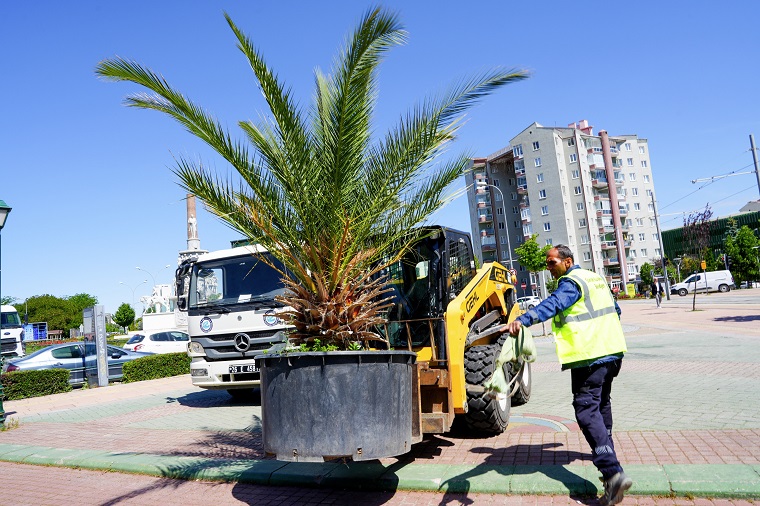 Köprübaşi Palmi̇yeler Ve Zakkumlarla Süslendi̇ (10)