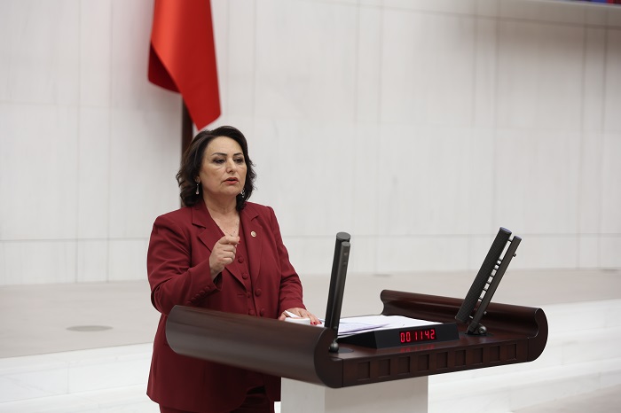 Müzeyyen Şevkin Genel Kurul (3)-1