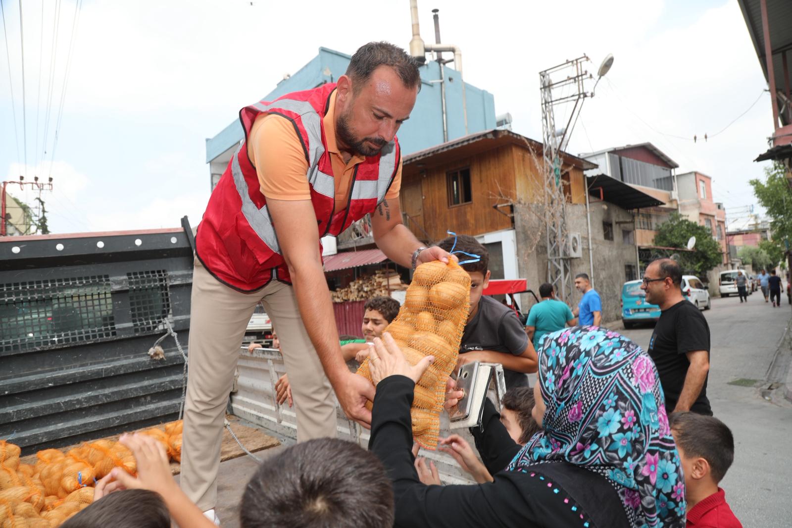 Patates Dagıtımı (3)