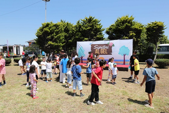 Sepetini Al Gel Piknik 1 (2)