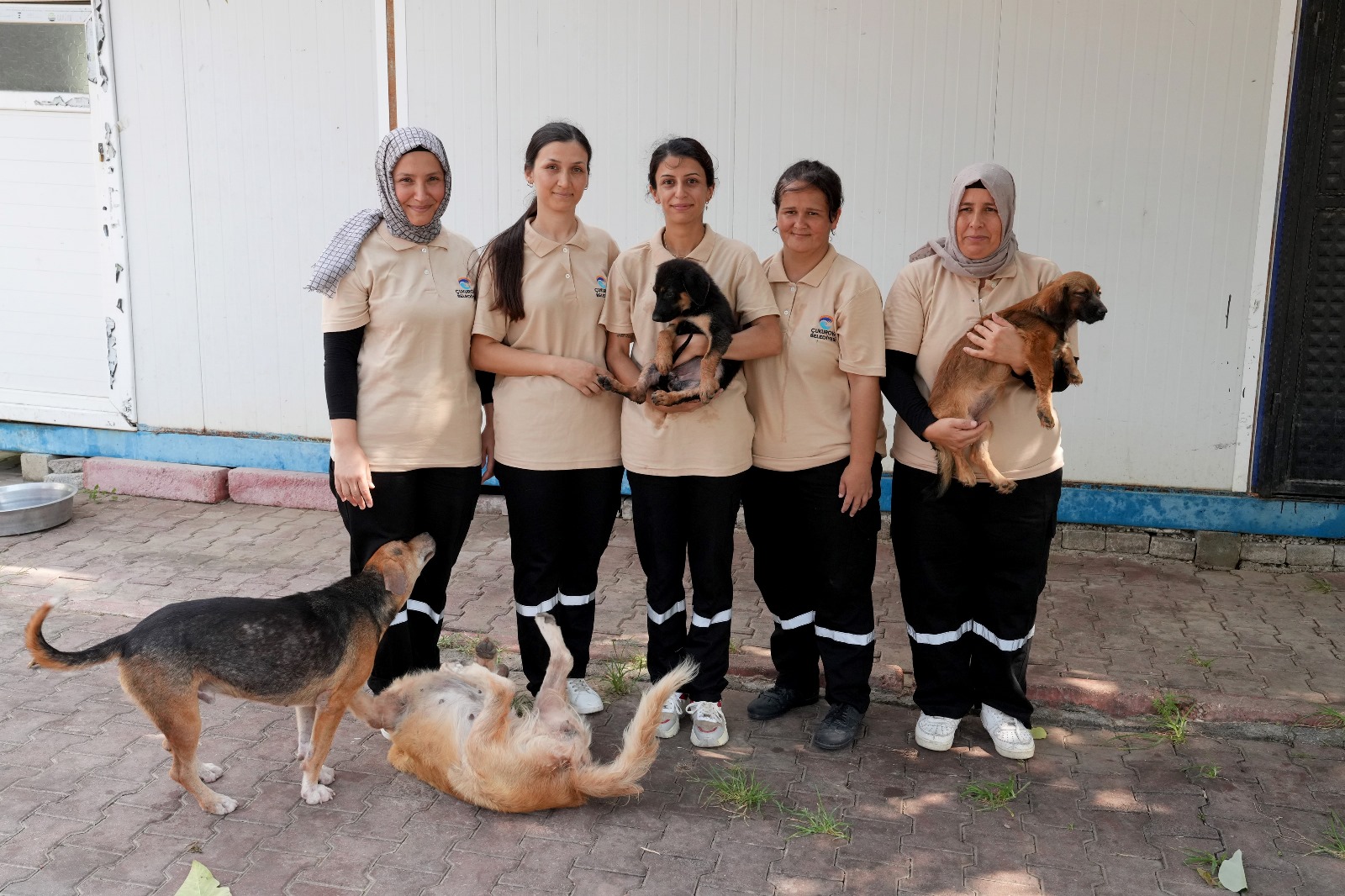 Barinak Melekleri̇ (3)