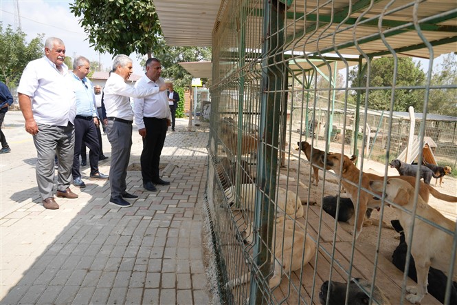 Hayvan Barınağı Ziyaret (5)