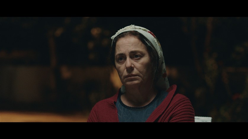 Annemin Solgun Çiçekleri 02