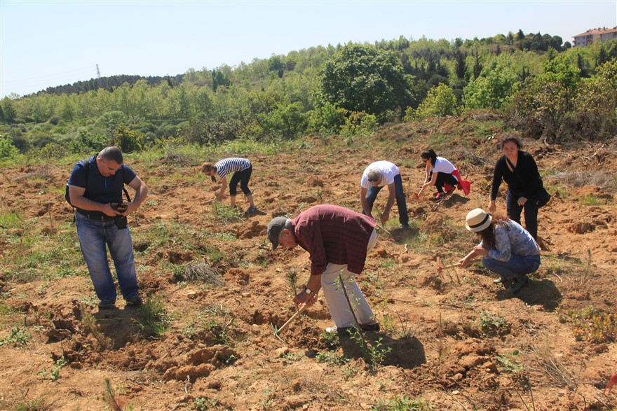 C E K U L Fidan Dikimi03 100252035