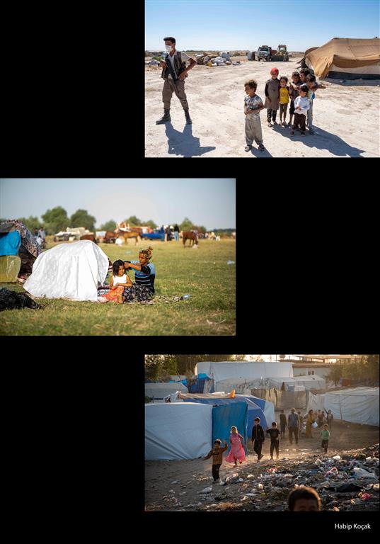 Habip (Large)