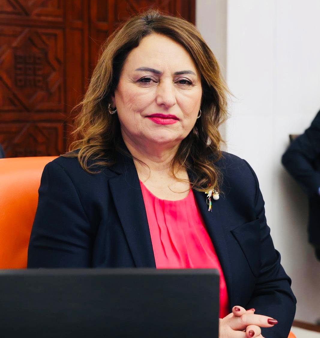 Müzeyyen Şevkin Meclisffto