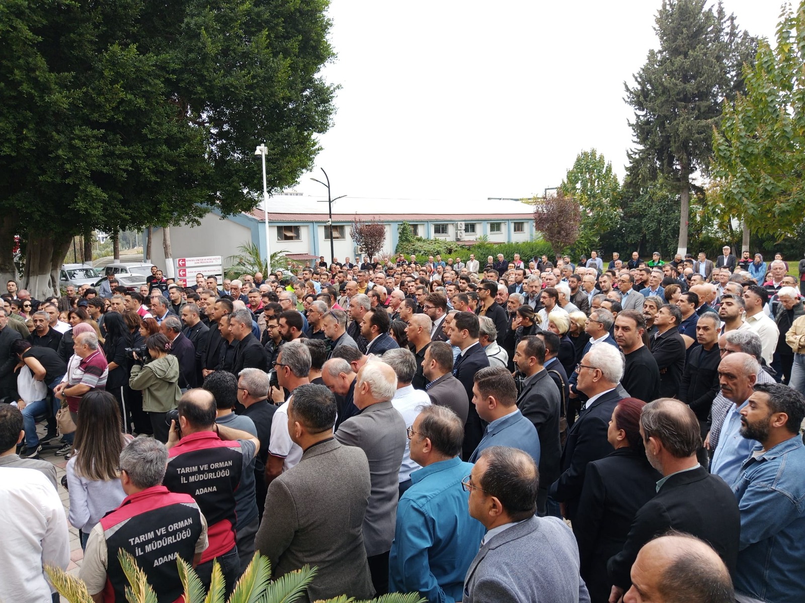 Whatsapp Image 2025 11 11 At 14.03.53 (1)