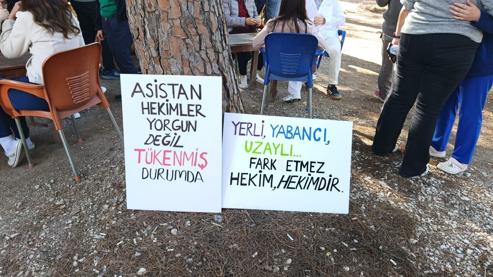 Whatsapp Image 2025 11 17 At 13.29.44