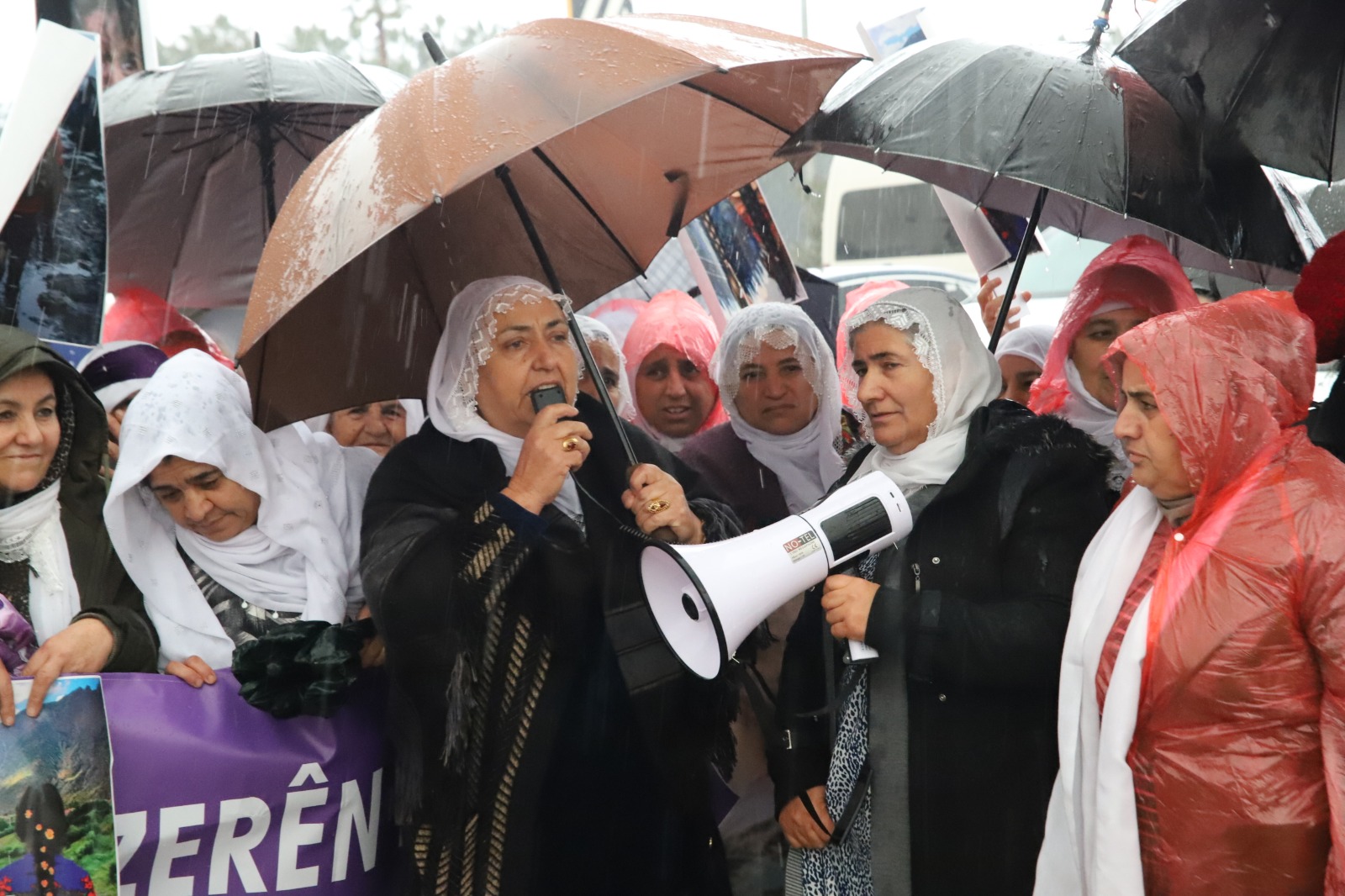 Whatsapp Image 2026 01 30 At 17.25.20 (1)