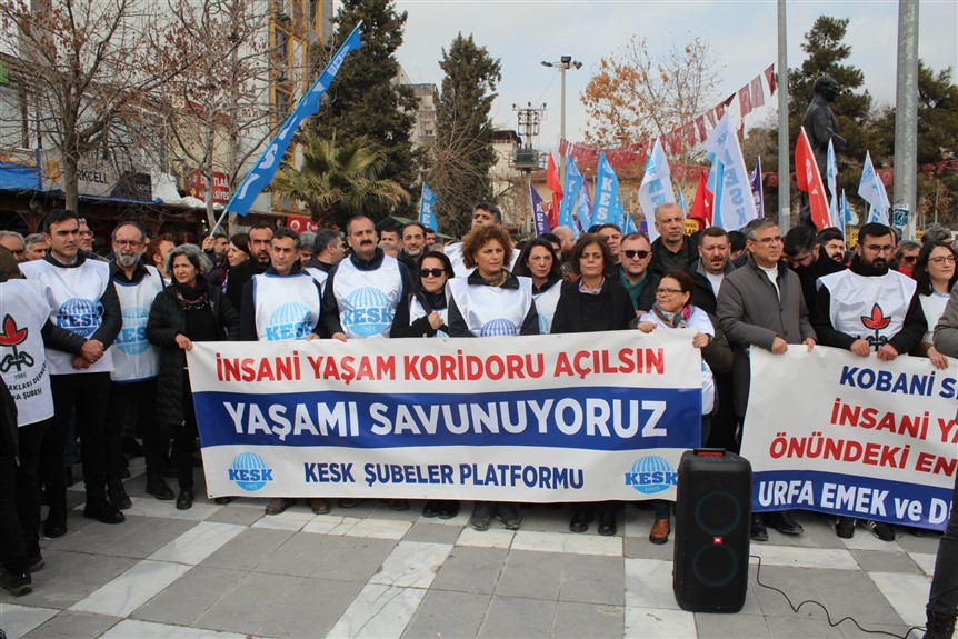 Whatsapp Image 2026 02 01 At 14.29.59