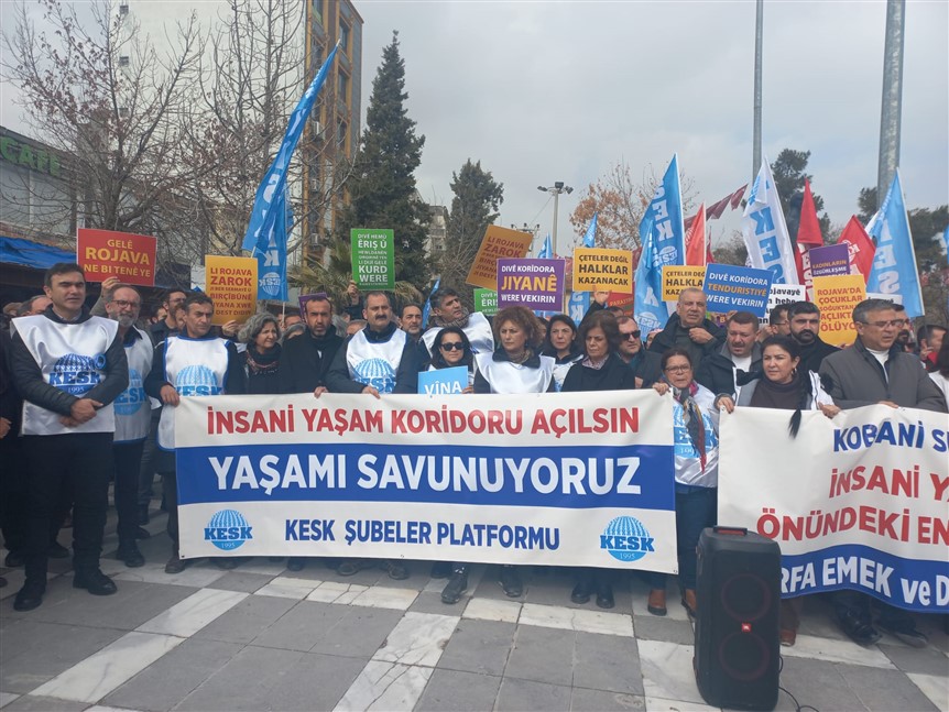 Whatsapp Image 2026 02 01 At 14.32.48