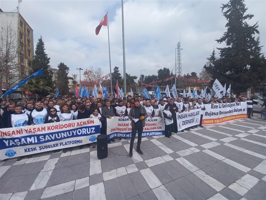 Whatsapp Image 2026 02 01 At 14.32.56