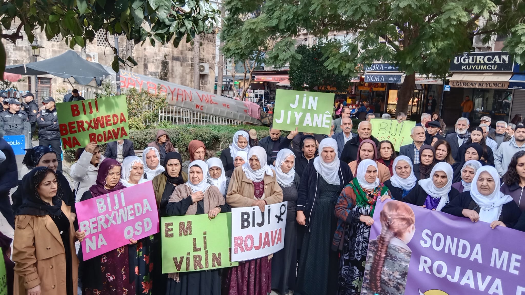 Whatsapp Image 2026 02 03 At 15.31.11