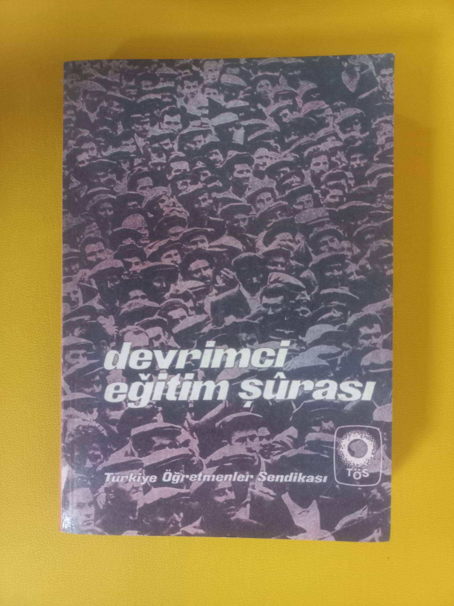 Whatsapp Image 2026 02 08 At 07.48.03