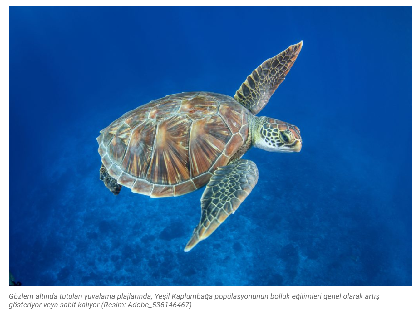 Ekran Görüntüsü 2026 03 26 090216