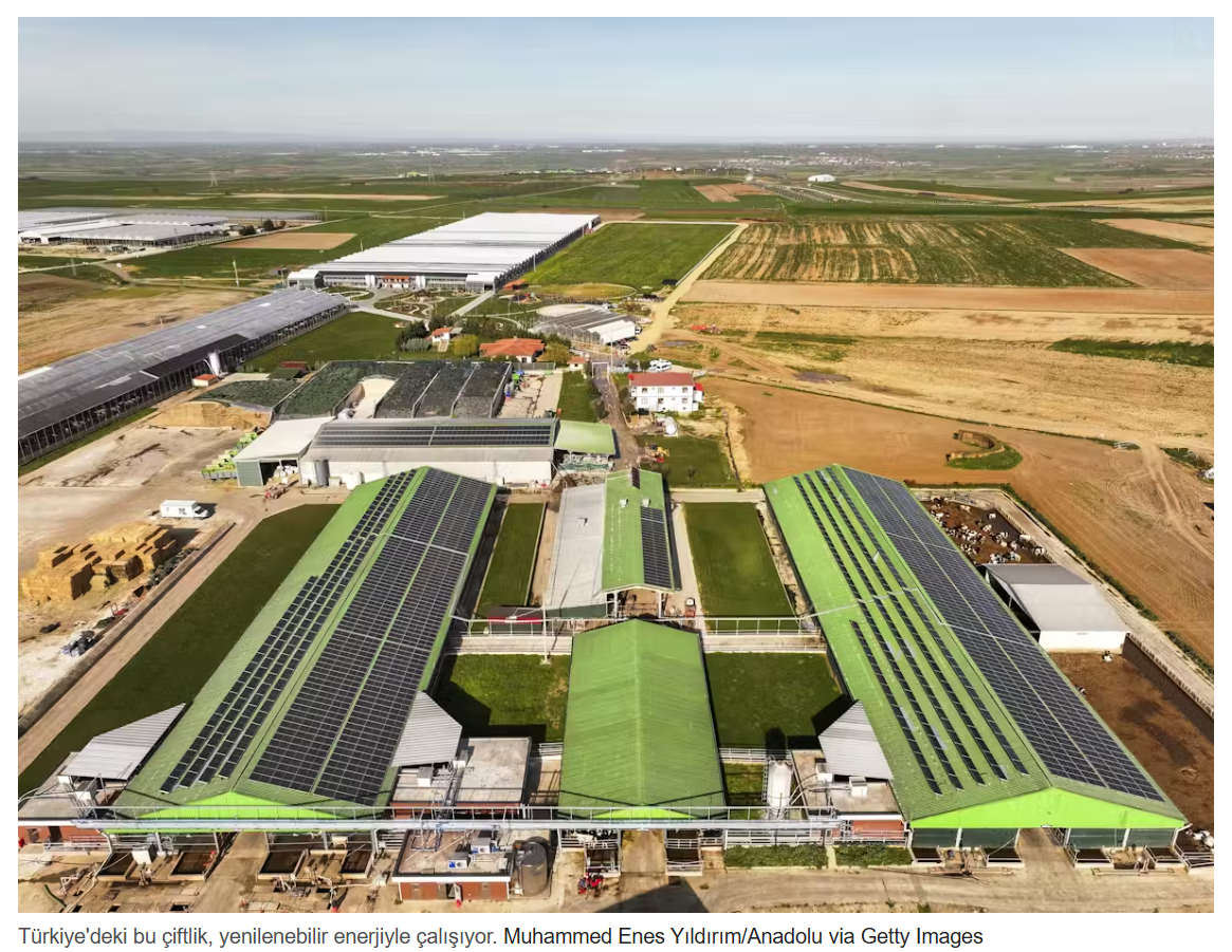 Ekran Görüntüsü 2026 03 28 073718