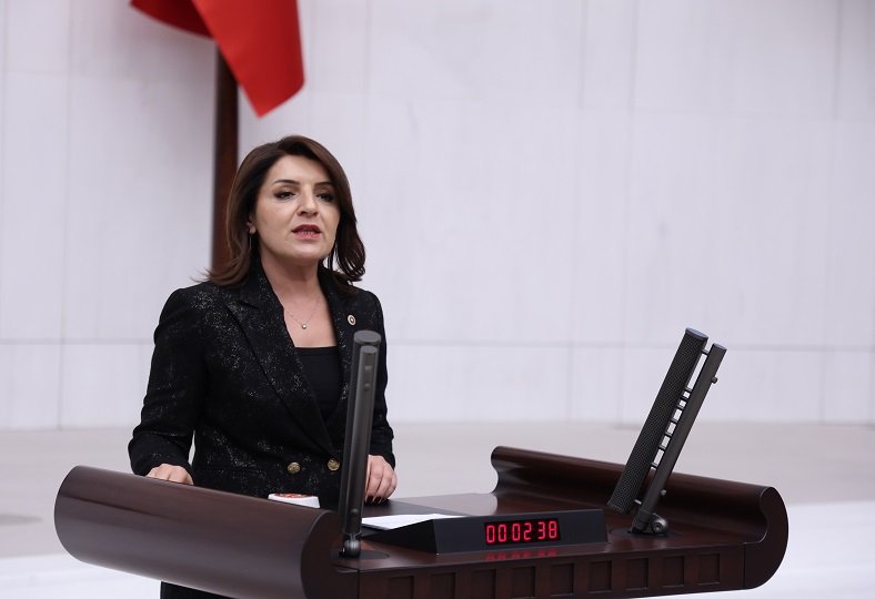 CHP'li Gülcan Kış, “ADI TAPU, ÖZÜ YETKİ DEVRİ”