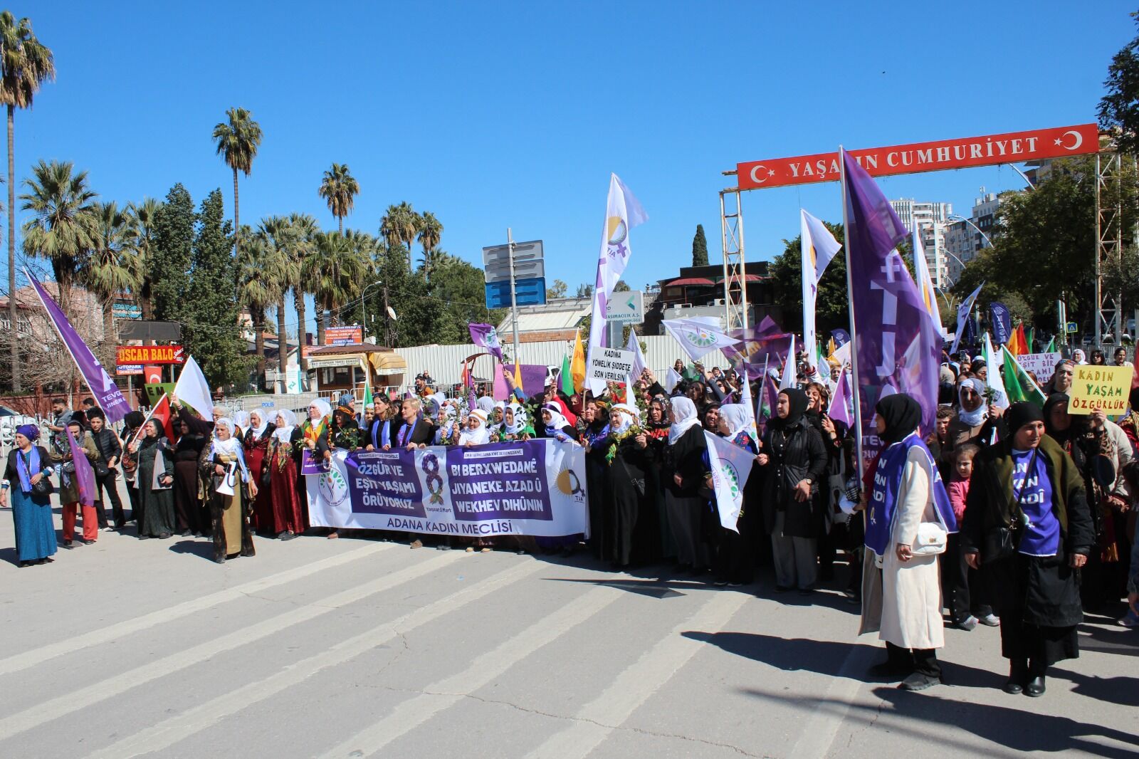 Whatsapp Image 2026 03 08 At 17.56.46