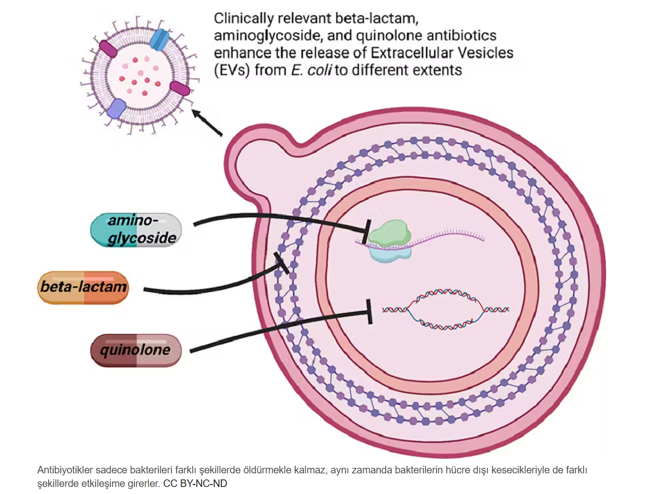 Ekran Görüntüsü 2026 04 20 060357