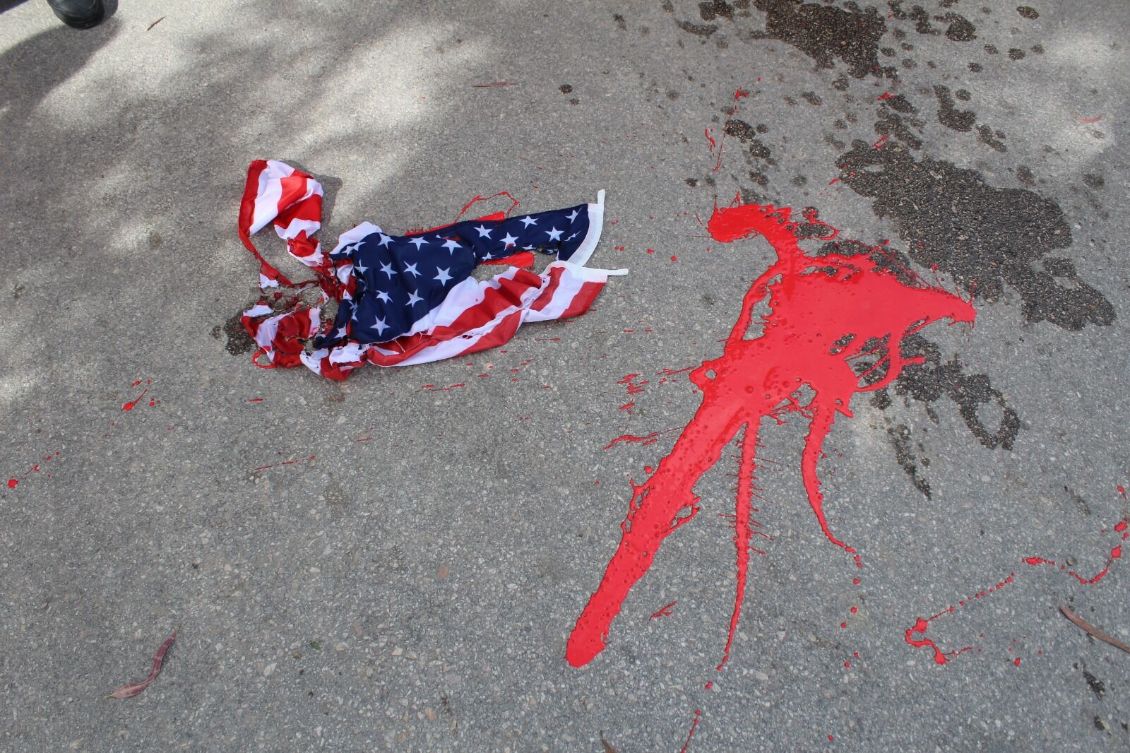 Whatsapp Image 2026 04 04 At 17.44.11 (12)