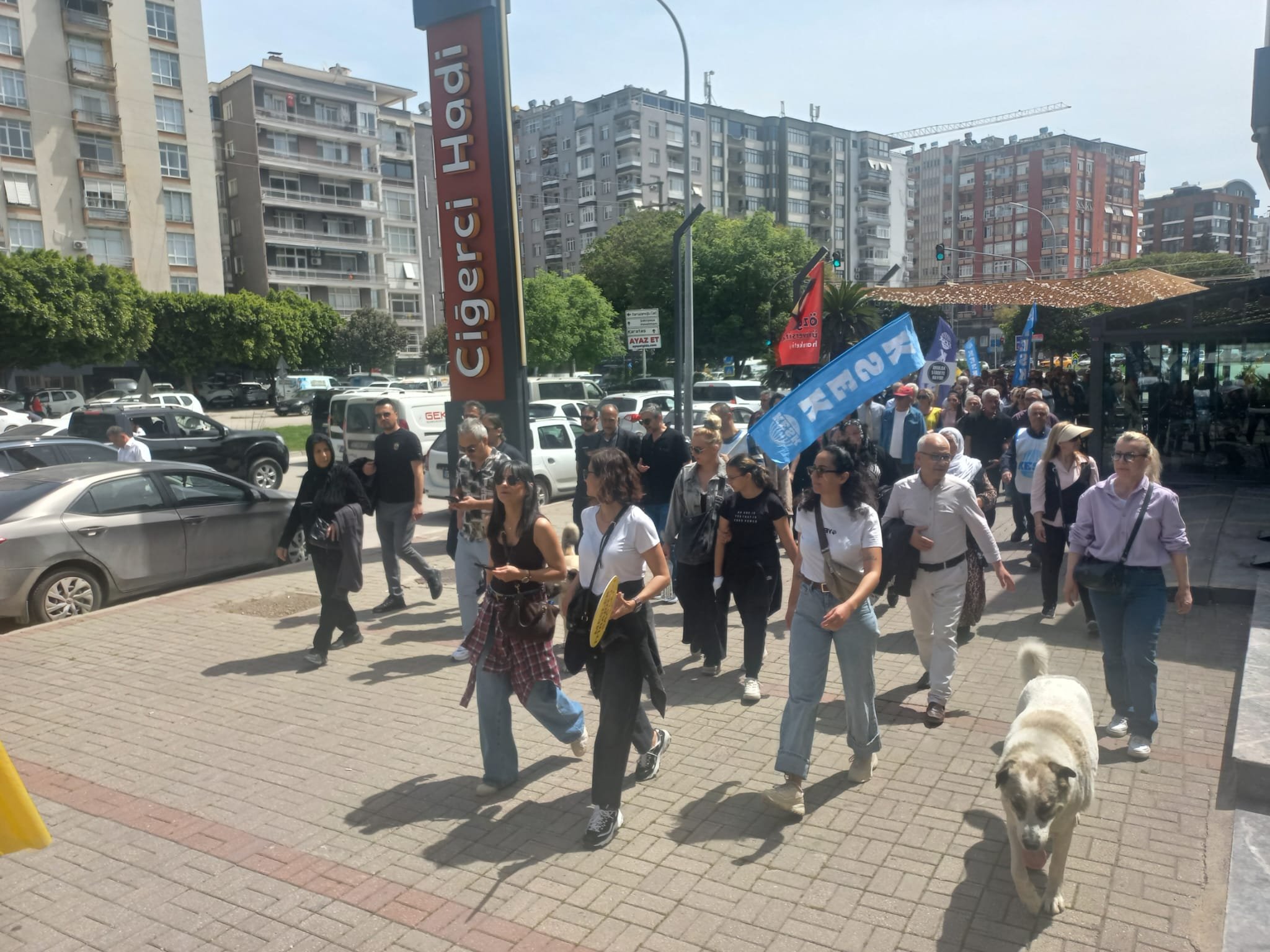 Whatsapp Image 2026 04 16 At 13.48.42 (2)