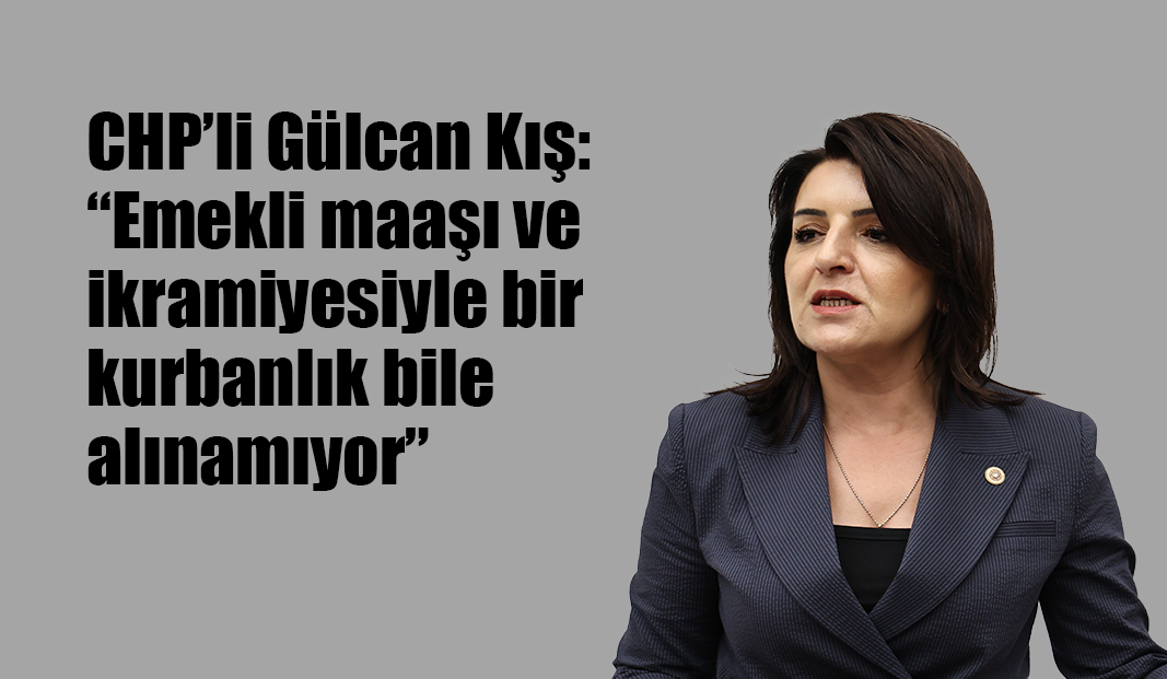 CHP’li Gülcan Kış: “Emekli maaşı ve ikramiyesiyle bir kurbanlık bile alınamıyor”