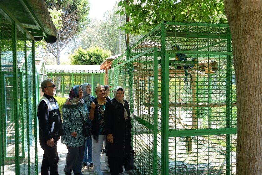 Mersi̇n Büyükşehi̇r’den Şehi̇t Anneleri̇ne Özel Program (5)